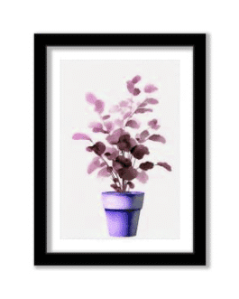 Framed Art